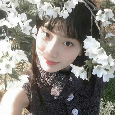 命运探索者