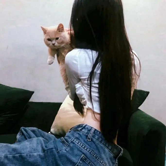 腌黄瓜先生第三季