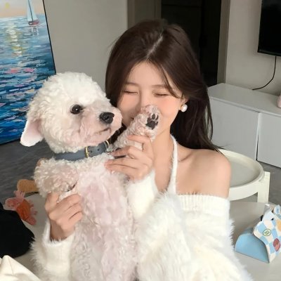 无处安身